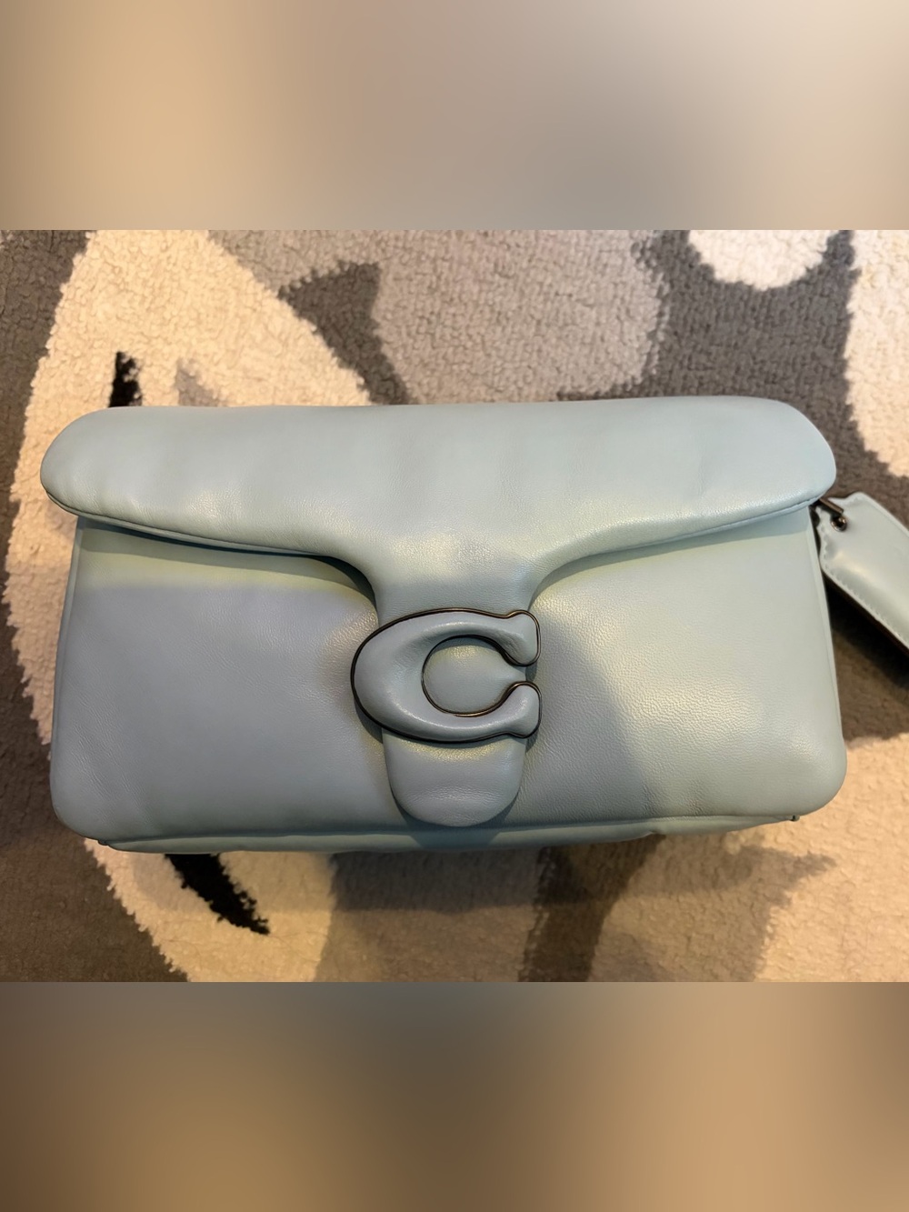 Coach Sky Blue Leather pillow tabby